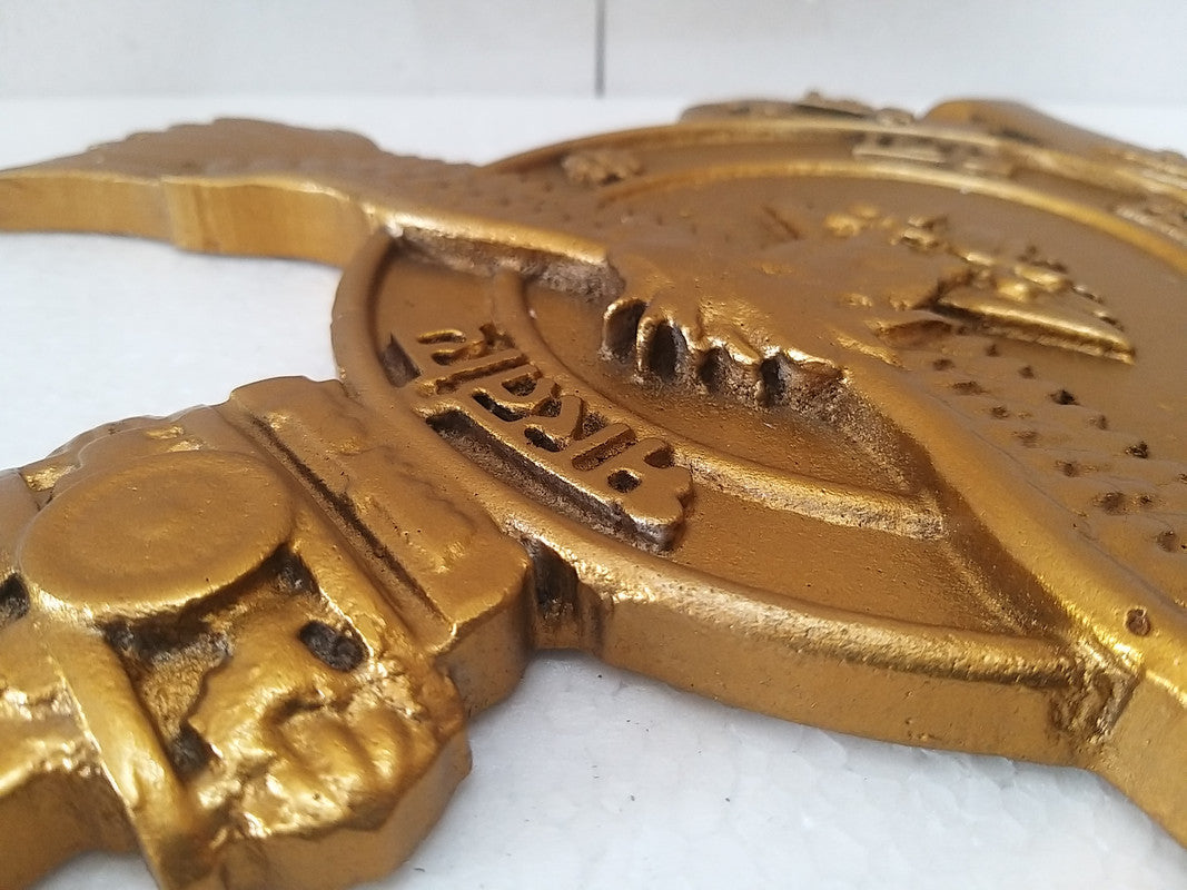 VAYU SENA Crests Plaque Badge - 12" -  - 3D - Indian AIR Forces (162)