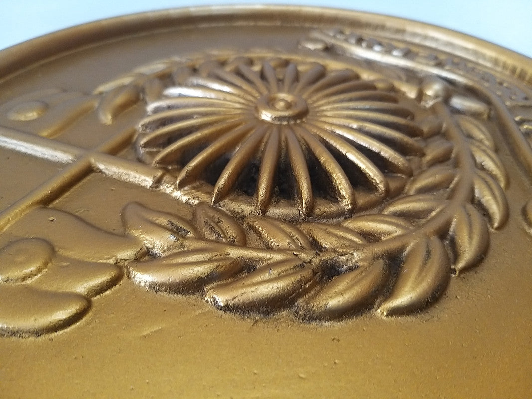 Indian AIR Forces Badge Plaque - Wall Décor - 12 Inches - CENTRAL RESERVE FORCE CRPF (178)