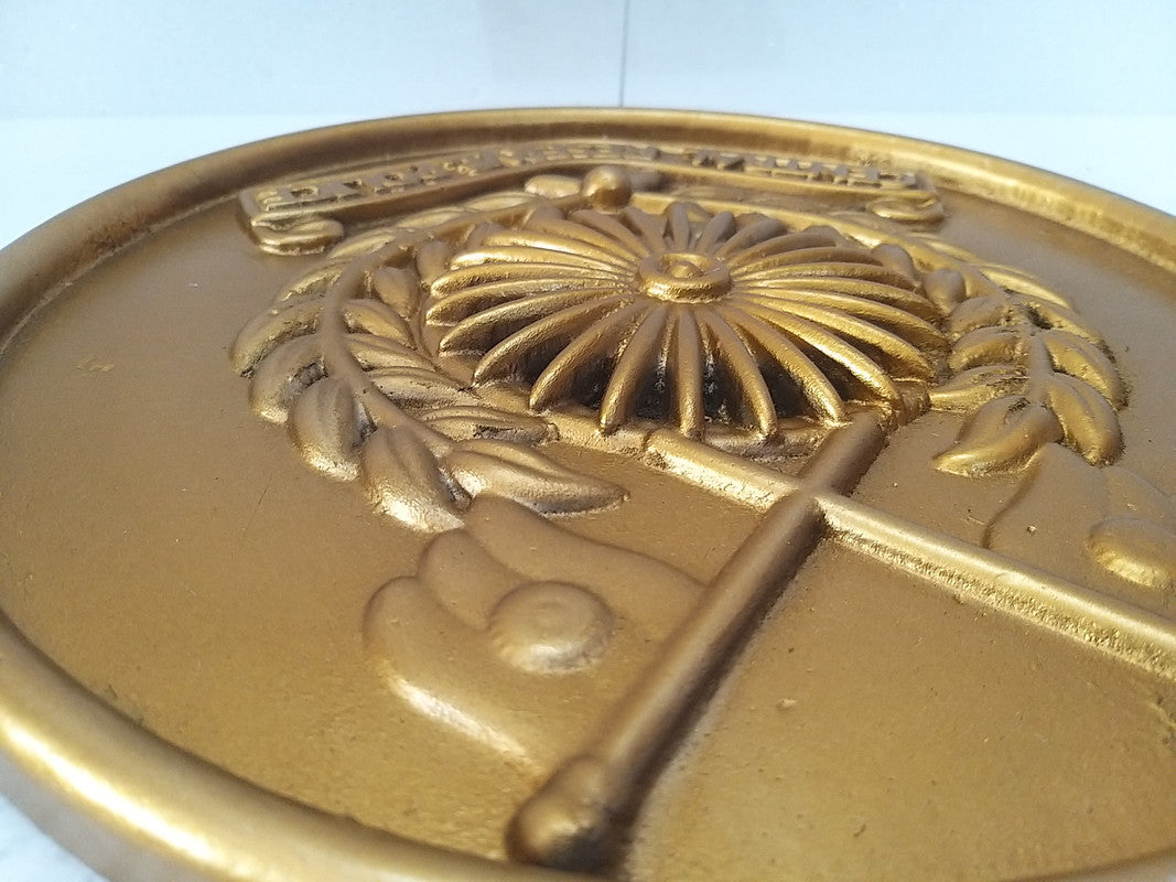 Indian AIR Forces Badge Plaque - Wall Décor - 12 Inches - CENTRAL RESERVE FORCE CRPF (178)