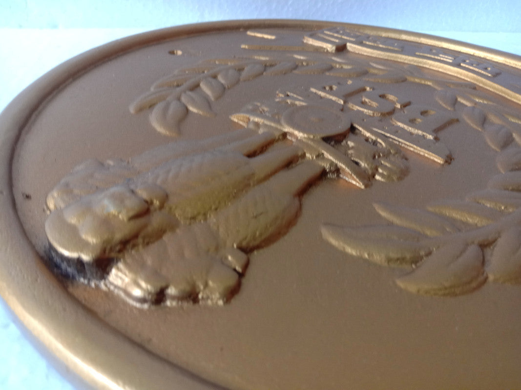 Border Security Force BSF Wall Plauque - Solid Casting - 12 Inches (5409)