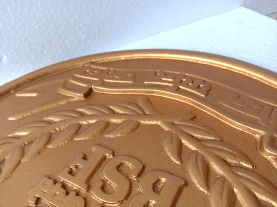 Border Security Force BSF Wall Plauque - Solid Casting - 12 Inches (5409)