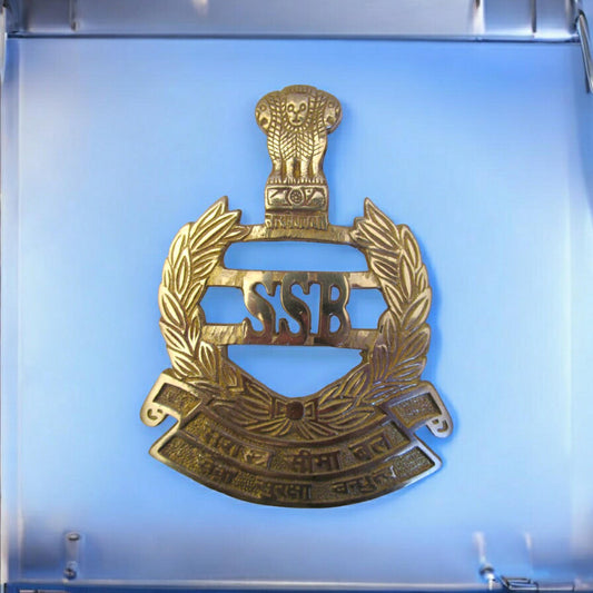 Indian Police Military Navy Air Force CAST Safe Plaque Plate Crests Badge (767)