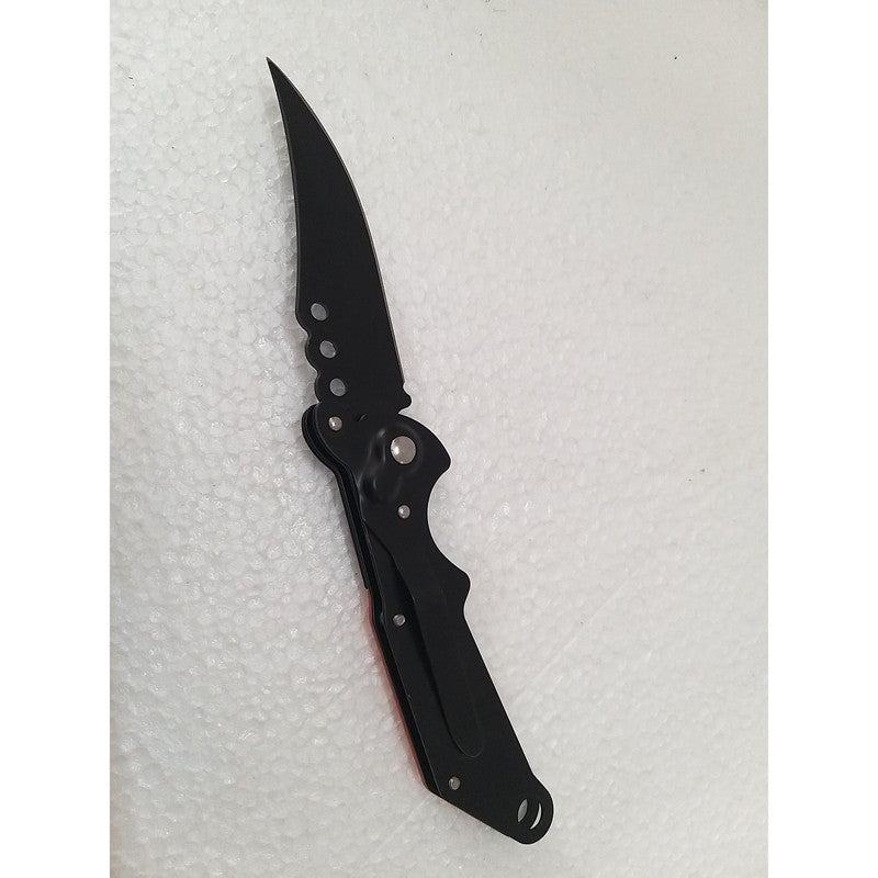 Royal Collection - Nice Unique (1728)