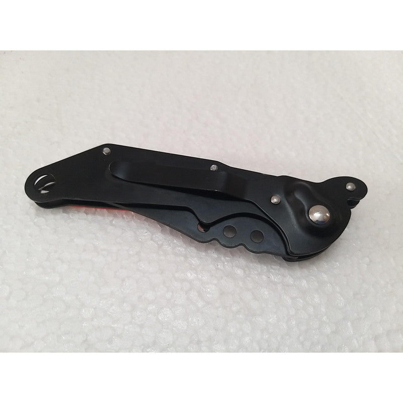 Royal Collection - Nice Unique (1728)